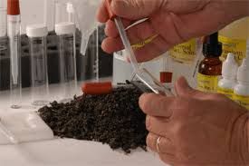 Soil Testing Services