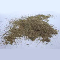 Holy Basil Powder