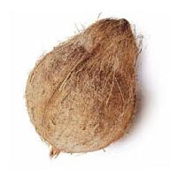 Coconut