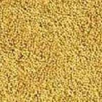 Mustard Seeds