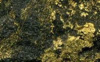 Gold Ore