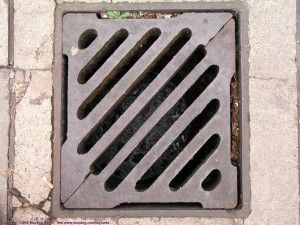 drain cover