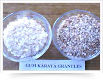 IP/BP Grades Sterculia Granules