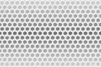 Hexagonal Mesh