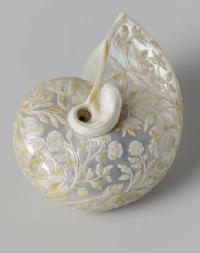 sea shell carving