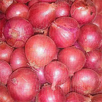 Red Onion