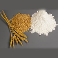 Refined Wheat Flour