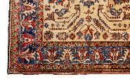 Hand Knotted Rugs