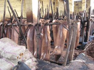 Leather Processing-1