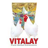 vitalay