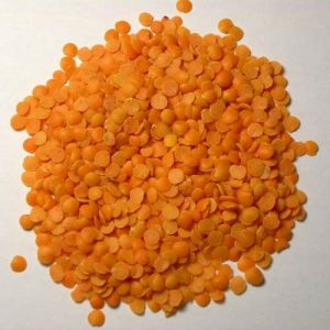 Masoor Pulses