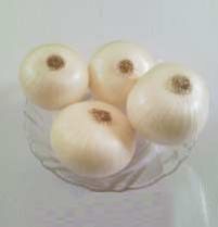 Fresh White Onion