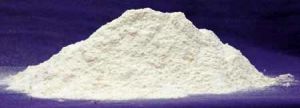 White Onion Powder