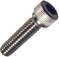 Industrial Screws