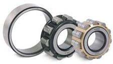 Special Cylindrical Roller Bearings