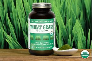 Wheatgrass Powder