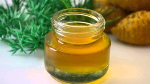 Turmeric Oil co2 extract pure oil