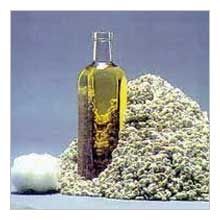 Cottonseed Oil