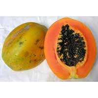 Papaya