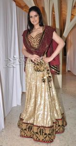 Zarine Khan Golden Lehenga