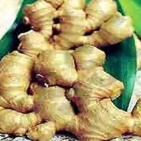 Ginger Oil