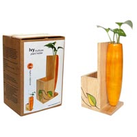 IVY Wooden Plant Holder