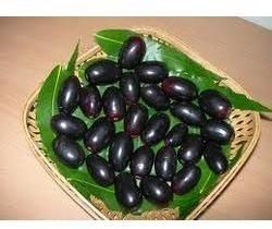 Jamun Pulp