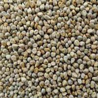 Green Millet