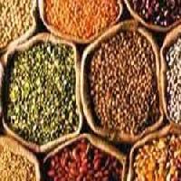 Organic Pulses