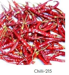 Chilli - 216