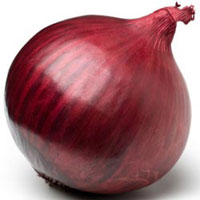 Fresh Onion Exporters