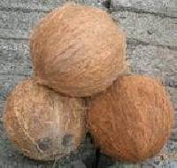 Coconut