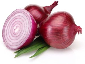 Fresh Red Onion