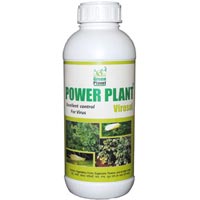 Power Plant Virosol