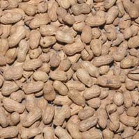 Shelled Groundnuts