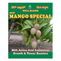 Mango Special