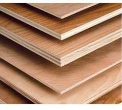 Hardwood Plywood