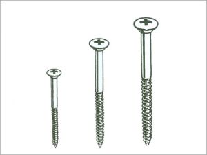 Ss Wood Screws