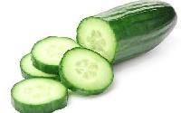 Fresh Cucumber