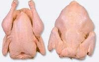 poultry meat