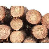 Pine Wood Logs