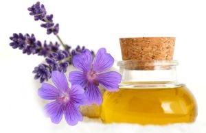 Geranium Oil