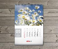 Wall Calendars