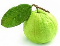 Guava