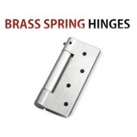 Brass Spring Hinges