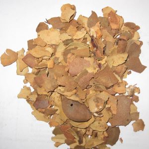 Tamarind Husk