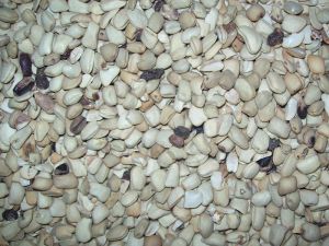 Tamarind Seed Kernal