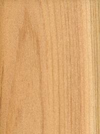 white cedar wood