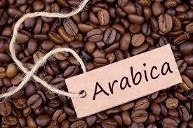 Arabica Coffee