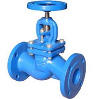 Globe Valve